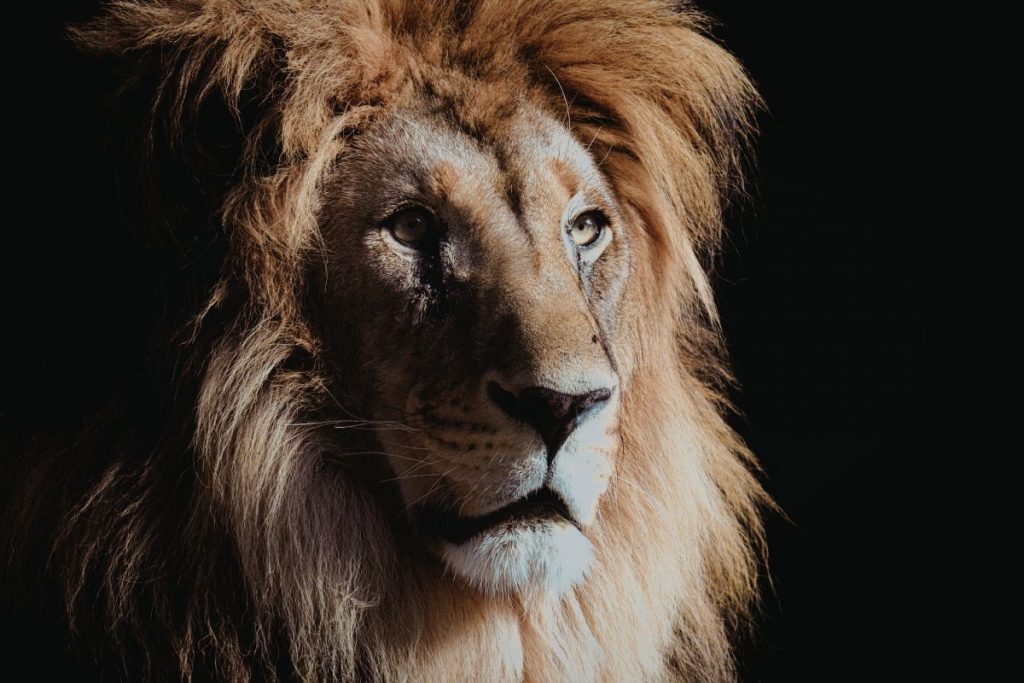 Imposto de Renda 2026: como se preparar desde agora para uma declaração sem complicações