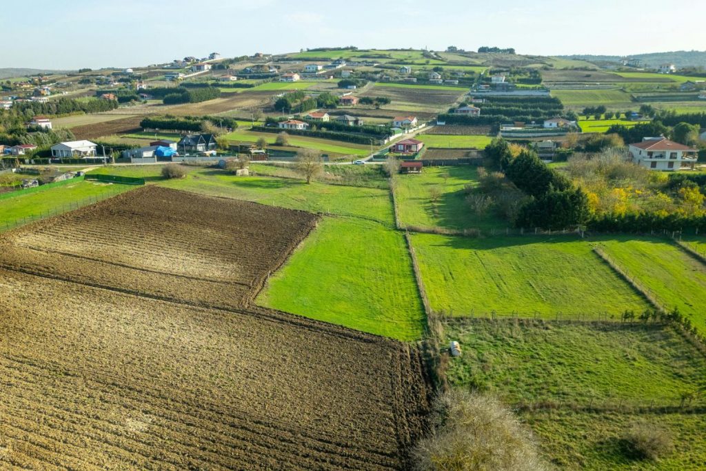 Despesa de Custeio versus Investimento na Atividade Rural: como classificar corretamente e evitar erros fiscais